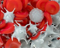 склад крові плат канва.jpg