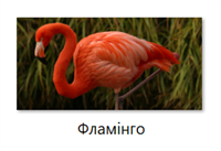 Screenshot_5 (2).png