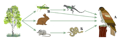 Знімок екрана 2026-04-02 145745.png