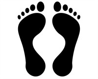 стопа людини.jpg