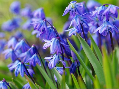 Тетяна Василівна Закаблучна