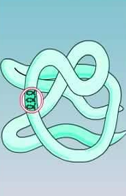 03-04-2017 20-45-12.png