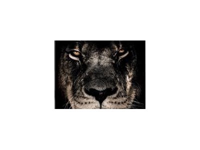 Олександр Лайдьонов