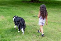 child-with-dog-child-dog-walking-child-dog-walking-cute-girl.jpg