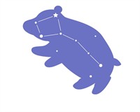 мала ведм.jpg