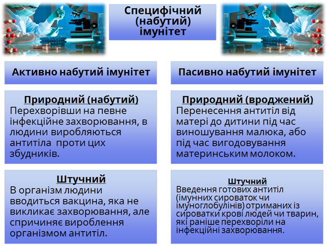 види імунітету.png
