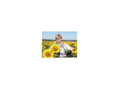 Наталя Анатоліївна Левченко