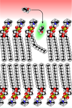 полегшена дифузія.png