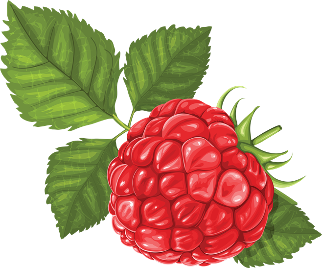 raspberry_PNG5043.png