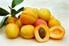 apricots-2523272_960_720.jpg