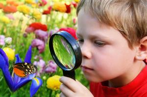 наблюдение 1.jpg