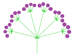 складний зонтик схема5.png