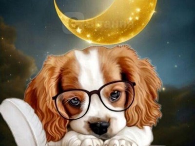 Альона Олександрівна Важева