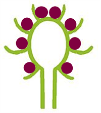 головка схема6.png