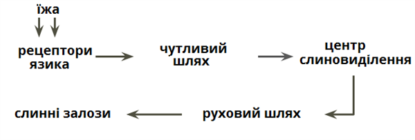 дуга слиновиділення.png