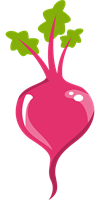 beet-2029457_960_720.png