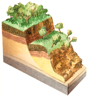 Образование оползня.png