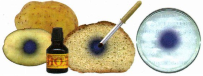 26-03-2017 01-33-58.png