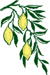 lemon-32520_960_720.png