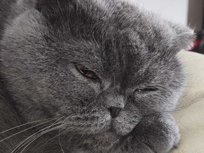 Тетяна Володимирівна Каришева