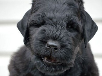 Костянтин Жидков