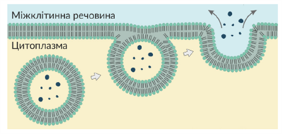 Знімок екрана 2026-04-02 132803.png