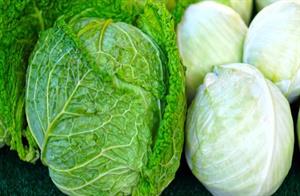 капуста10.JPG