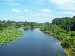 скачанные файлы (7).jpg