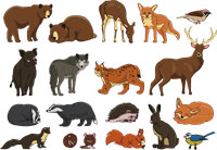 animal-gb5ddc49e6_1280.png
