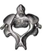 Screenshot 2023-06-29 at 12-50-10 322E20C1B3EEEBEEE3B3FF20D2E5F1F22032392E30362E3230313620C7EEF8E8F25F312E706466 - Biologiya-ZNO_2016-dod_sesiya.pdf.png