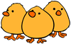 цыплята.png