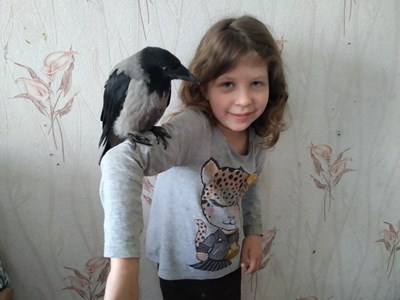 Елена Карпенко