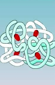 03-04-2017 20-45-33.png