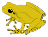 frog-g8ef061ddf_1920.png
