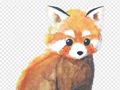 Ірина Петрина