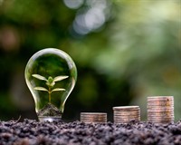 росток монети.jpg