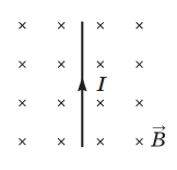 Screenshot 2024-02-18 at 14-51-09 322E20D4B3E7E8EAE020D2E5F1F22031312E30372E3230313720C7EEF8E8F25F312E706466 - phys_test_dodatkov_17.pdf.png