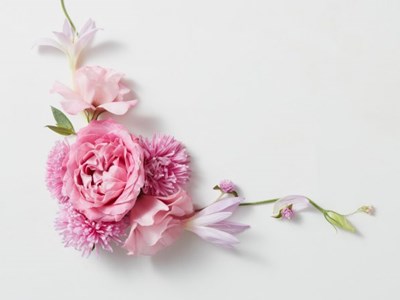 Юлія Іванівна Беркут