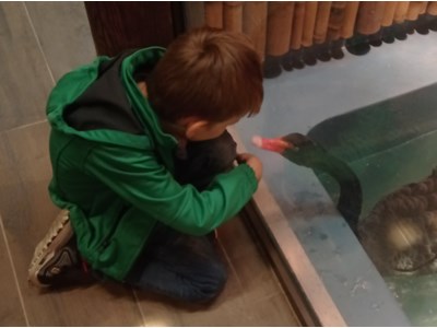 Ярослав Боровий