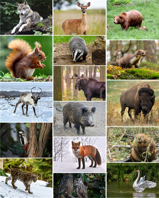 Ресурс 3ll33.png