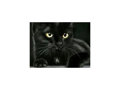 Лариса Іванівна Чайка