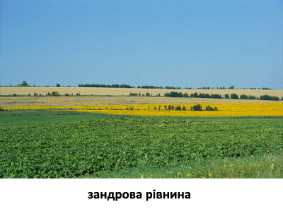 Зандровая равнина 2.png