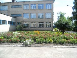 Великодимерський ліцей І-ІІІ ст.