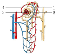 Знімок екрана 2026-04-02 141403.png
