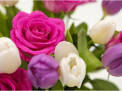 Людмила Вікторівна Каленюк