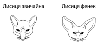 Знімок екрана 2026-04-01 211301.png