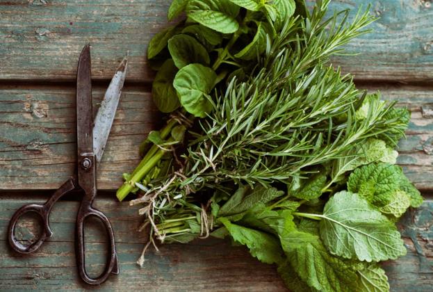 how-to-harvest-dry-herbs.jpg