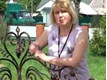 Людмила Григорівна Шишковська