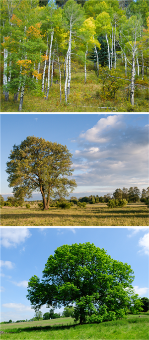 Ресурс 2ll3.png