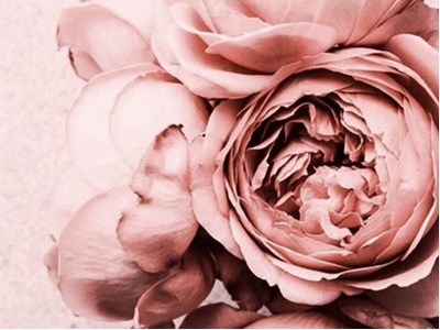 Наталія Урсу